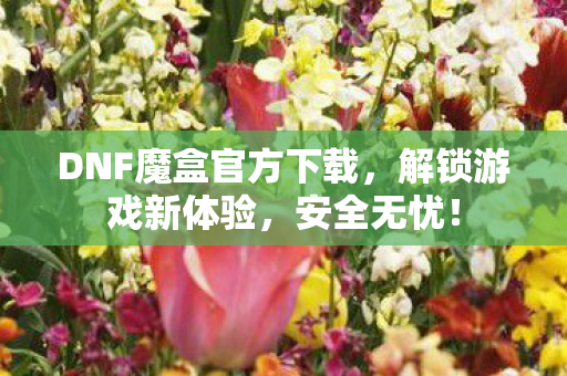 DNF魔盒官方下载图片
