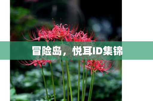 悦耳ID集锦图片