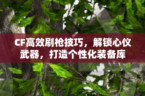 CF高效刷枪技巧图片