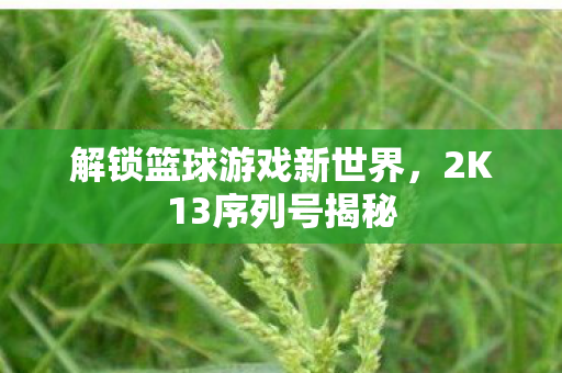 解锁篮球游戏新世界图片