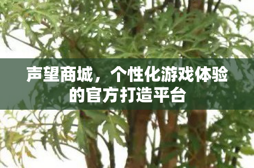 个性化游戏体验的官方打造平台图片