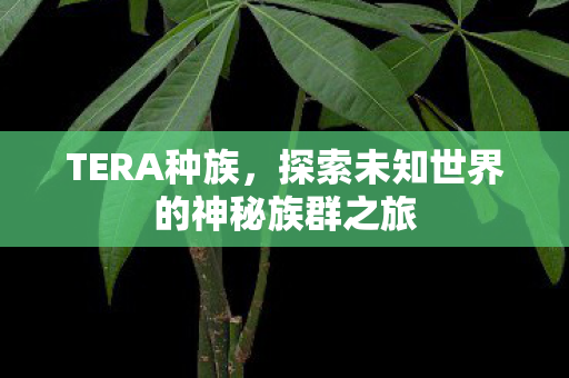 探索未知世界的神秘族群之旅图片