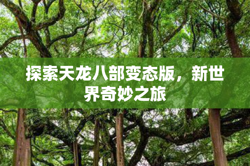探索天龙八部变态版图片