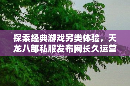 天龙八部私服发布网长久运营图片