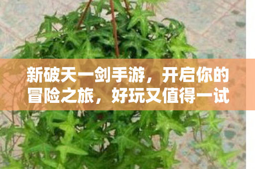 开启你的冒险之旅图片