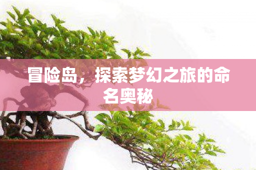 探索梦幻之旅的命名奥秘图片