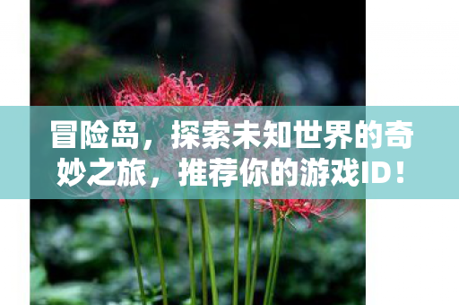 探索未知世界的奇妙之旅图片