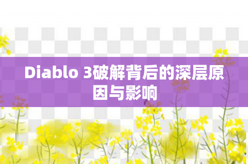 Diablo 3破解背后的深层原因与影响图片