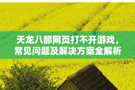 常见问题及解决方案全解析图片