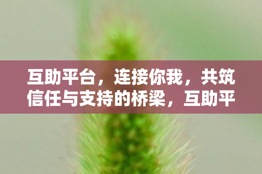 共筑信任与支持的桥梁图片