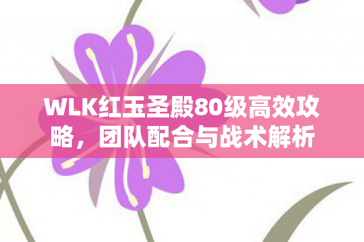 WLK红玉圣殿80级高效攻略图片