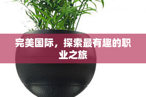 完美国际,探索最有趣的职业之旅 完美国际,探索最有趣的职业之旅