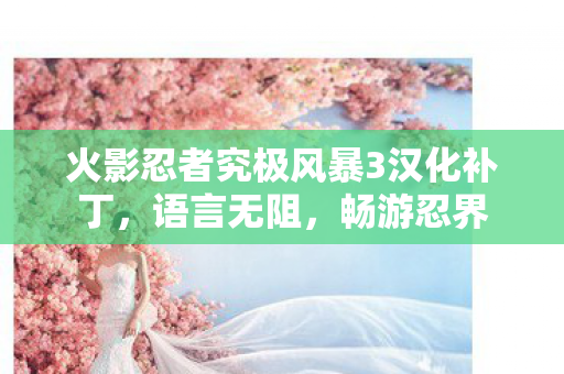 火影忍者究极风暴3汉化补丁图片