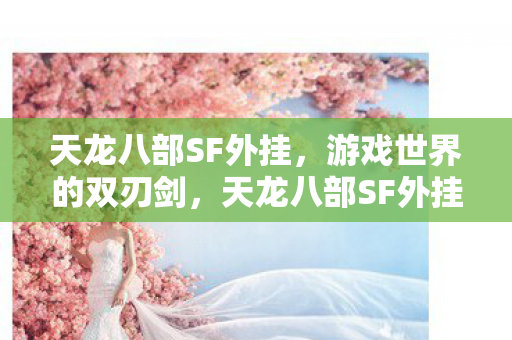 天龙八部SF外挂图片