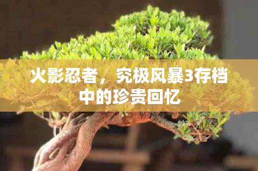 究极风暴3存档中的珍贵回忆图片