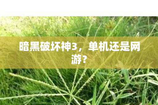 暗黑破坏神3图片