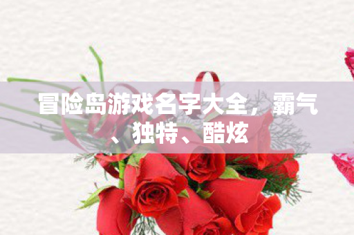 冒险岛游戏名字大全图片