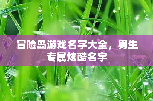 冒险岛游戏名字大全图片
