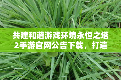 共建和谐游戏环境永恒之塔2手游官网公告下载图片