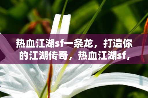 打造你的江湖传奇之旅图片