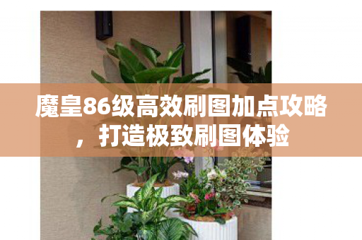 魔皇86级高效刷图加点攻略图片