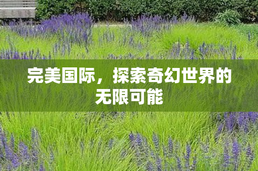 完美国际,探索奇幻世界的无限可能 完美国际,探索奇幻世界的无限可能