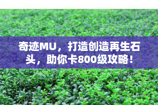 助你卡800级攻略图片
