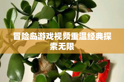 冒险岛游戏视频重温经典探索无限图片