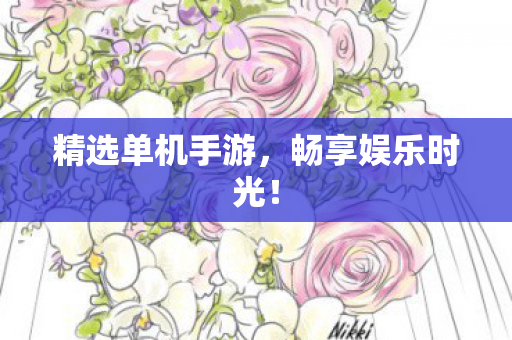 精选单机手游图片