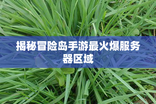 揭秘冒险岛手游最火爆服务器区域图片