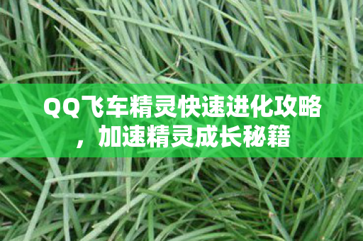QQ飞车精灵快速进化攻略图片
