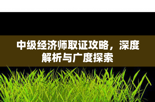 中级经济师取证攻略图片