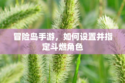 如何设置并指定斗燃角色图片