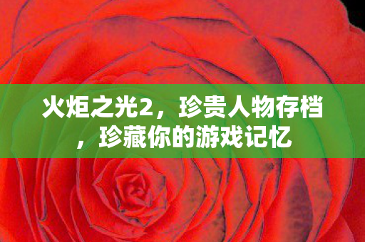 珍藏你的游戏记忆图片