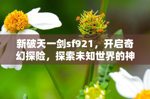 探索未知世界的神秘之旅图片