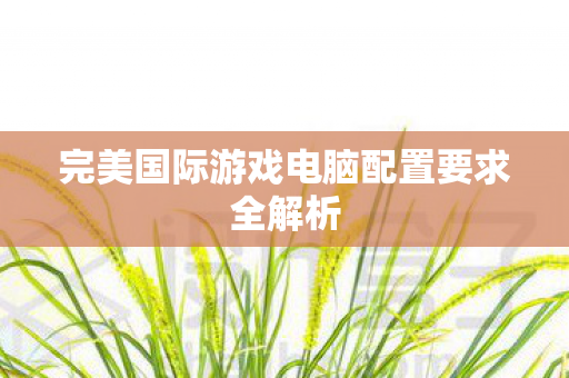 完美国际游戏电脑配置要求全解析图片
