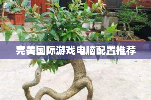 完美国际游戏电脑配置推荐图片