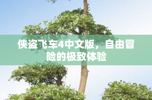 侠盗飞车4中文版,自由冒险的极致体验 侠盗飞车4中文版,自由冒险的极致体验