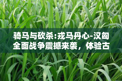 体验古代战争残酷与荣耀图片