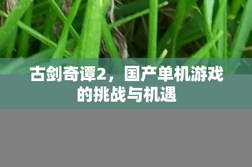 国产单机游戏的挑战与机遇图片