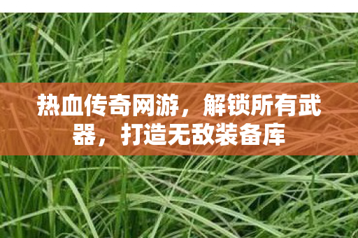 打造无敌装备库图片