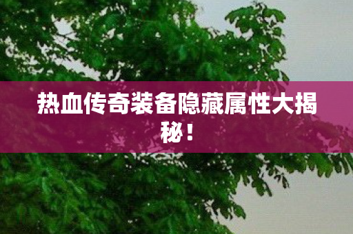 热血传奇装备隐藏属性大揭秘图片
