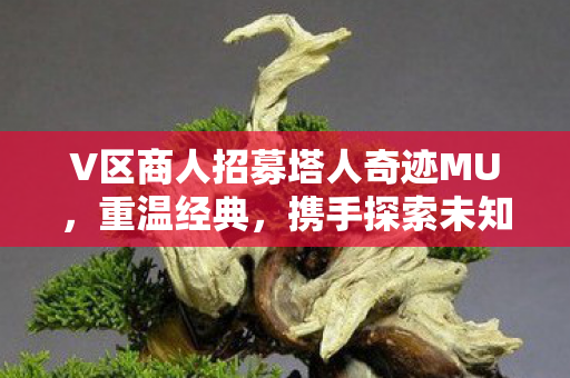 V区商人招募塔人奇迹MU图片