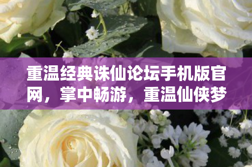 重温经典诛仙论坛手机版官网图片