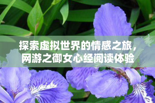 探索虚拟世界的情感之旅图片