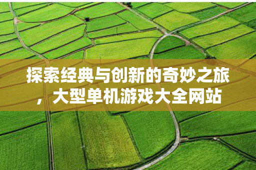 探索经典与创新的奇妙之旅，大型单机游戏大全网站