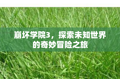 探索未知世界的奇妙冒险之旅图片