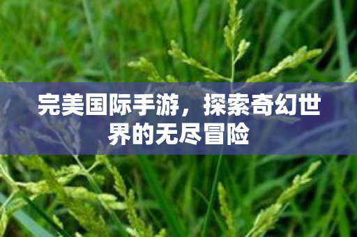 完美国际手游,探索奇幻世界的无尽冒险 完美国际手游,探索奇幻世界的无尽冒险