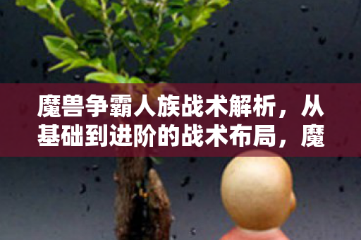 从基础到进阶的战术布局图片