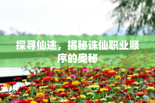 揭秘诛仙职业顺序的奥秘图片